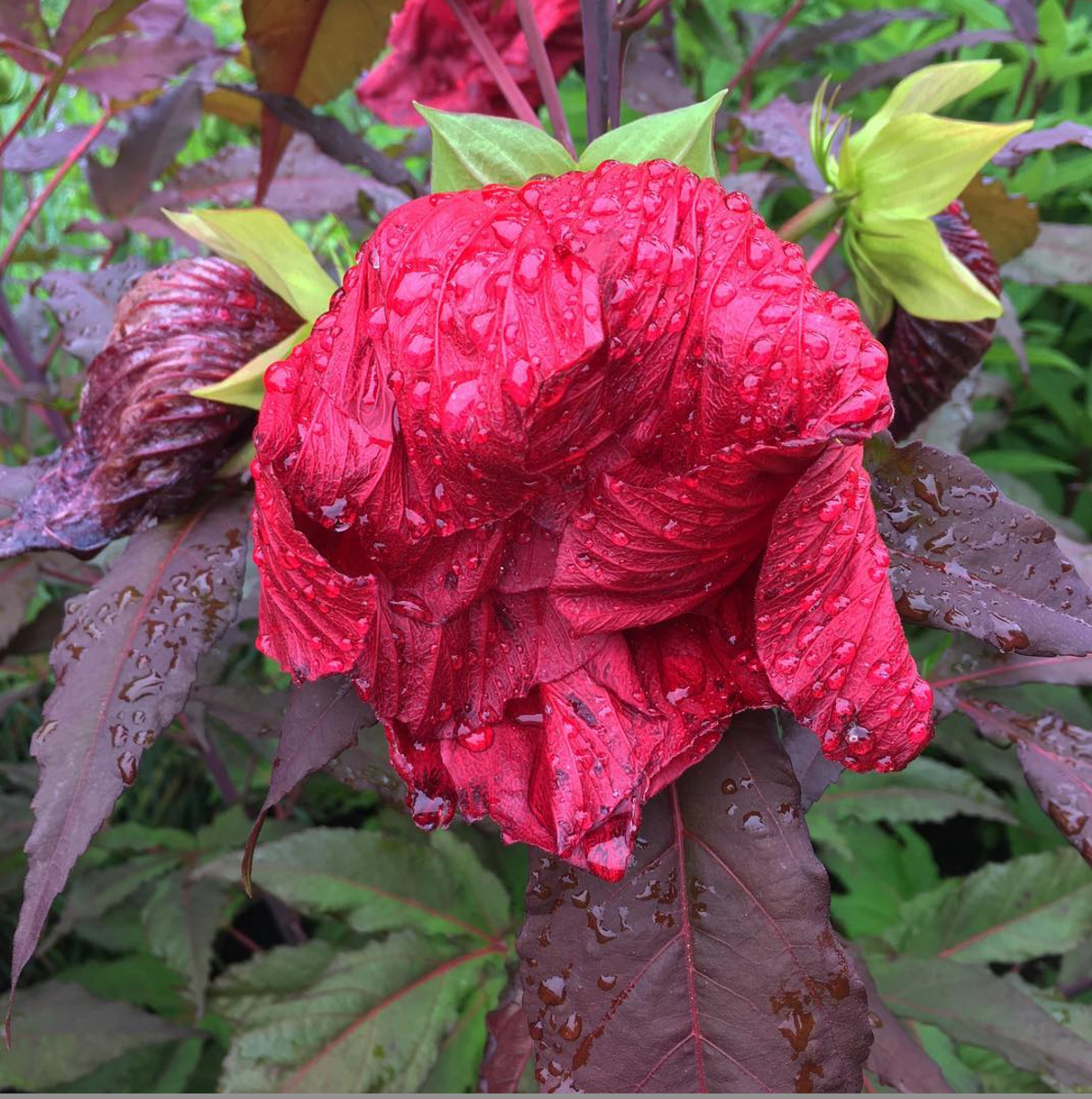 Carousel Image number 6